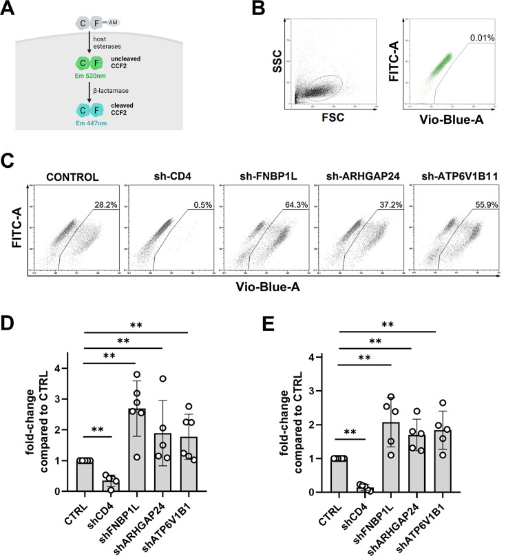 Fig 6