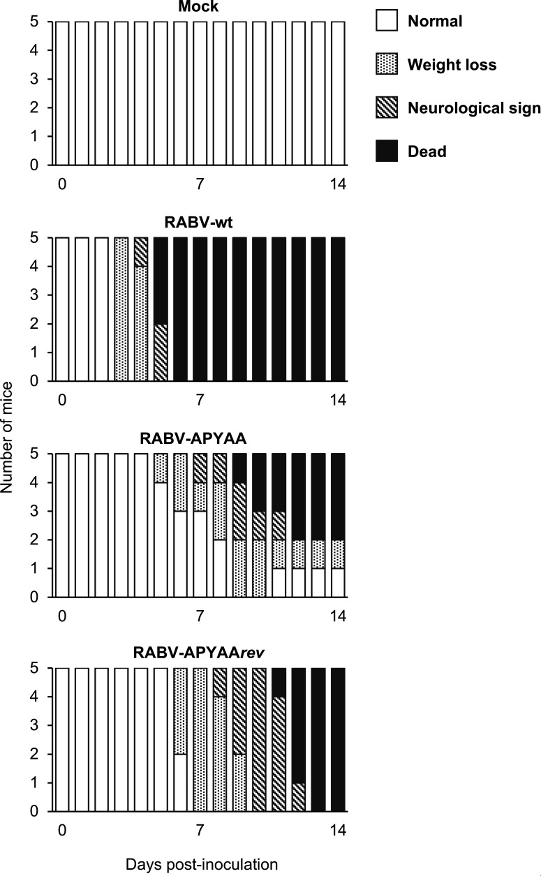 Fig 3
