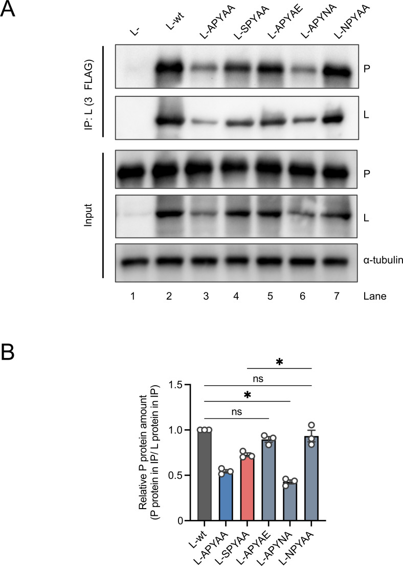 Fig 8