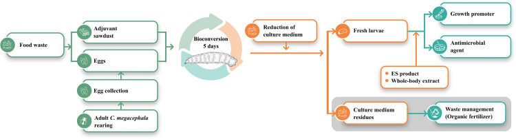 Fig 4