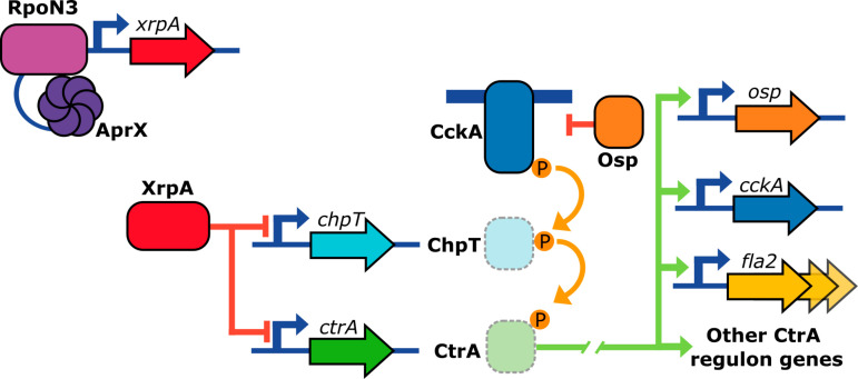 Fig 12