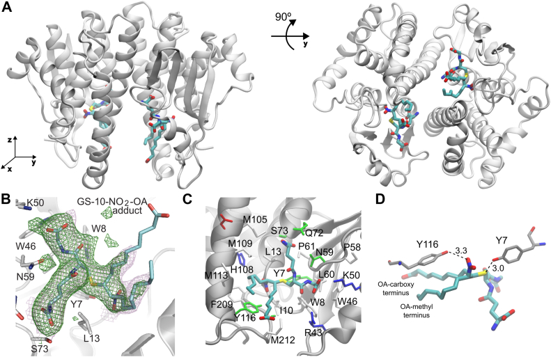 Figure 9