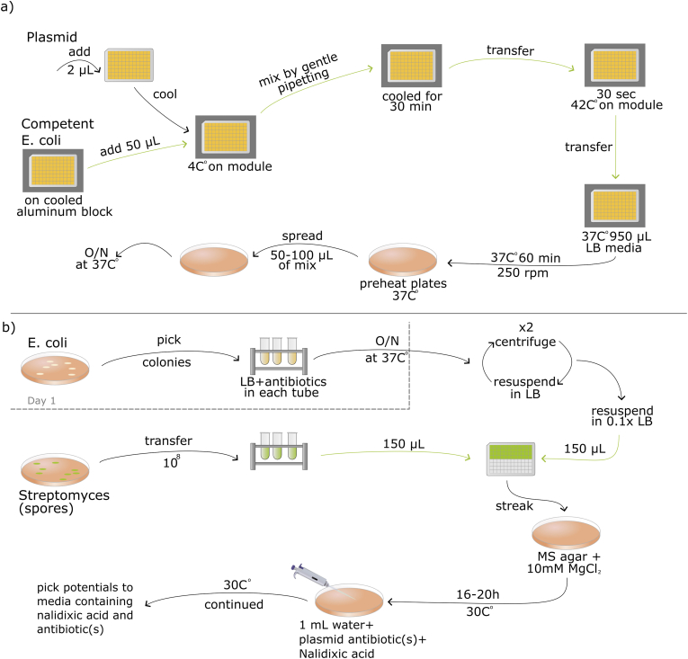 Figure 5