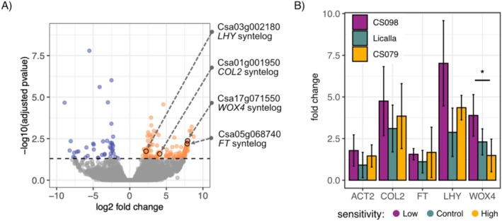 FIGURE 3