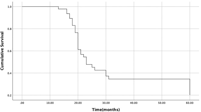 Figure 3
