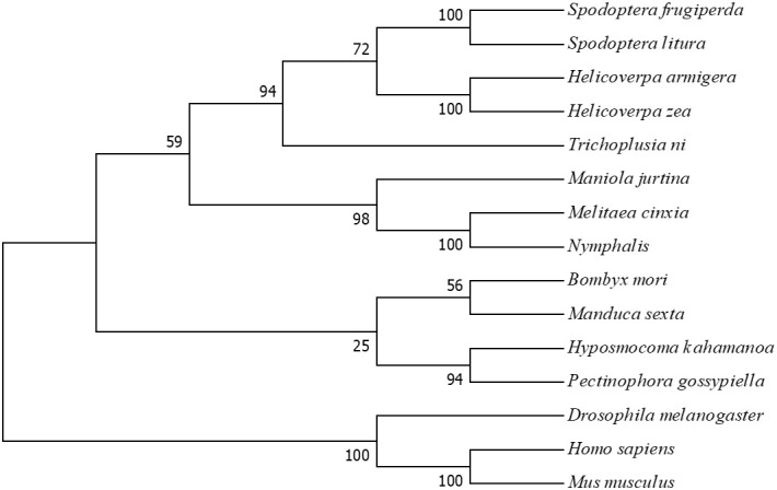 Figure 2