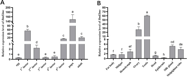 Figure 3