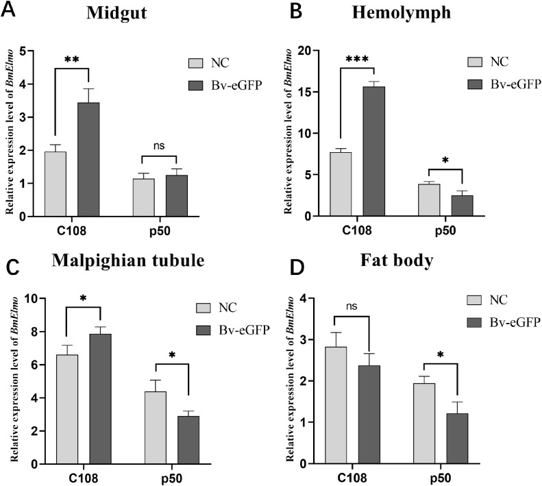 Figure 4