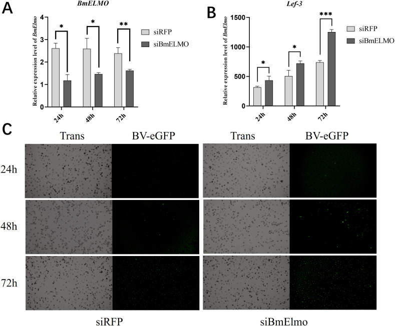 Figure 5