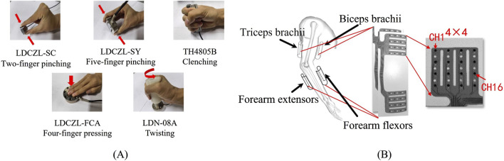 FIGURE 2