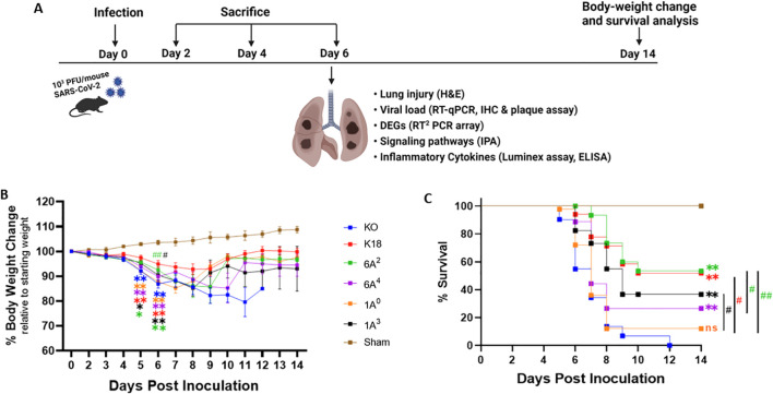 Figure 2