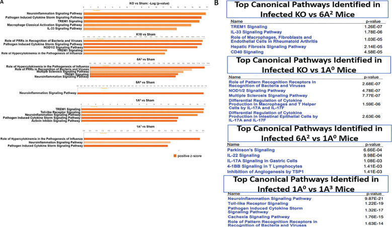 Figure 6