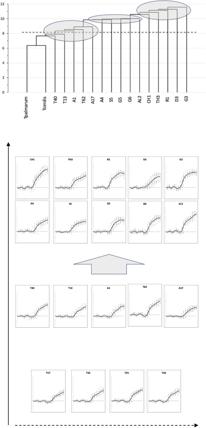 Figure 20