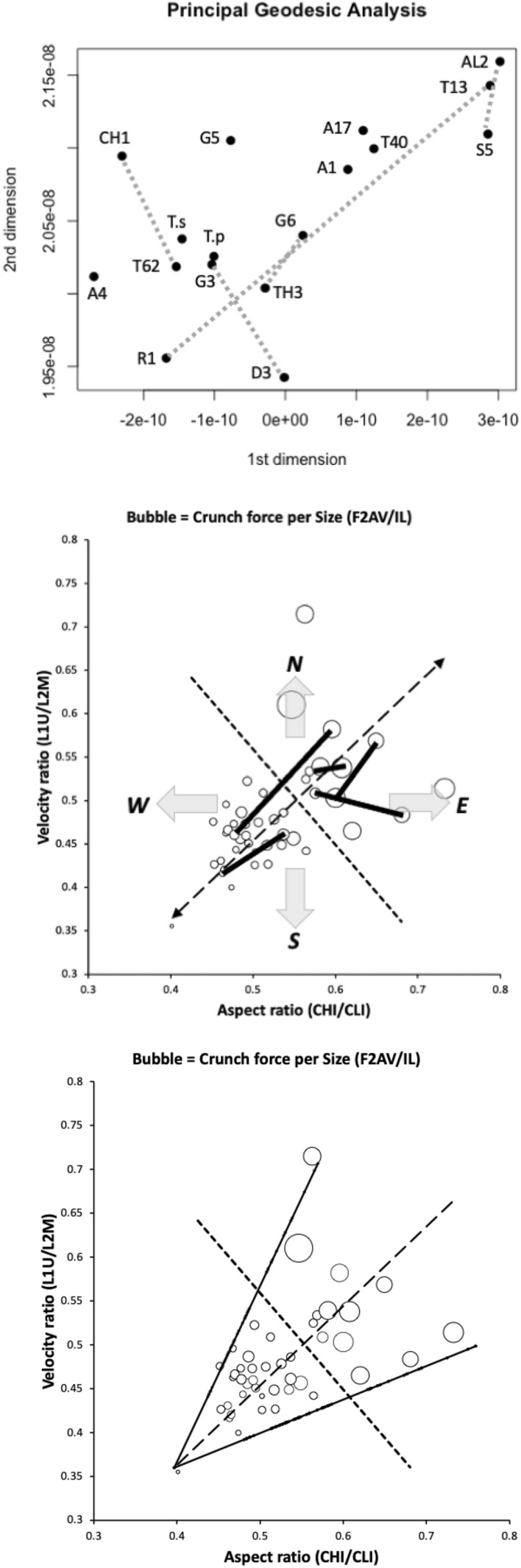 Figure 21