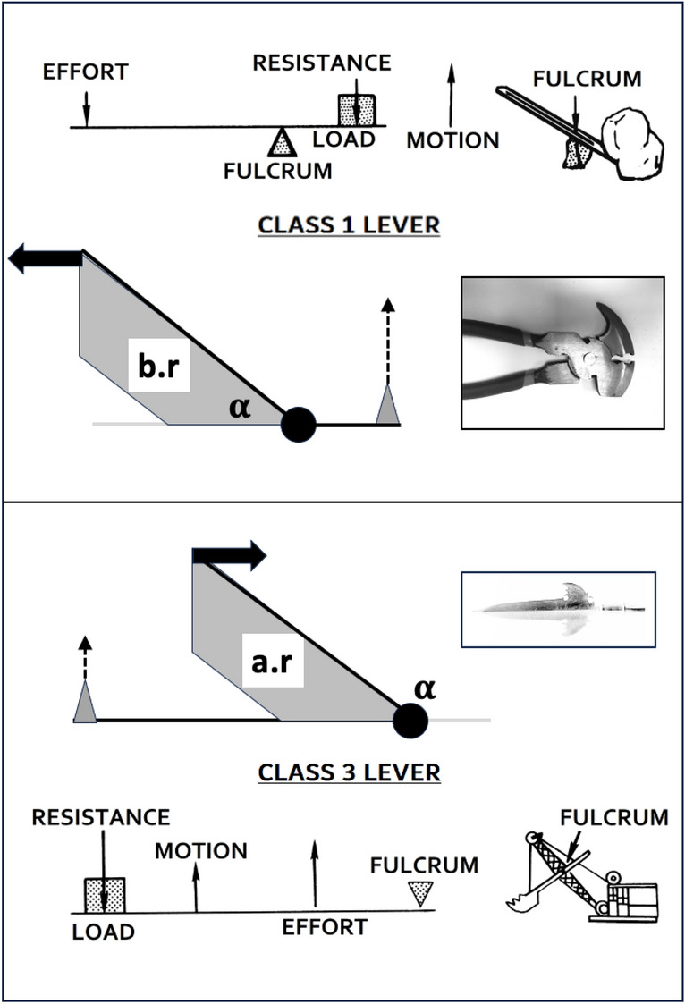 Figure 30