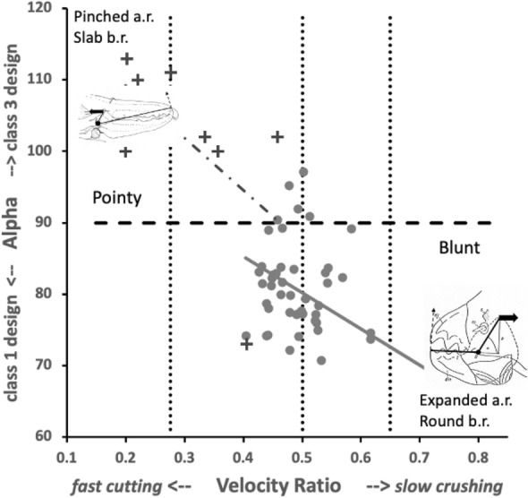 Figure 32