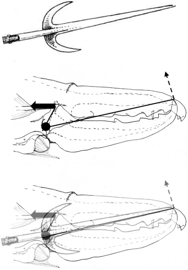 Figure 33