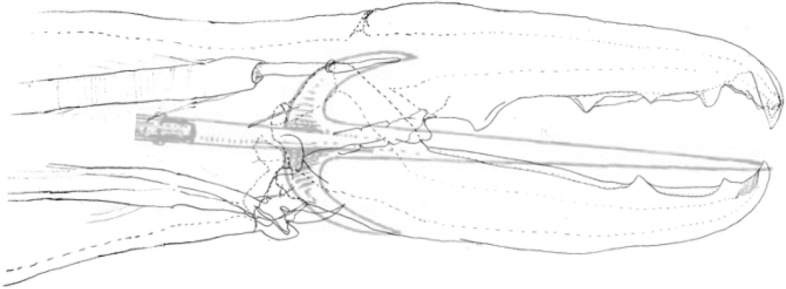 Figure 34