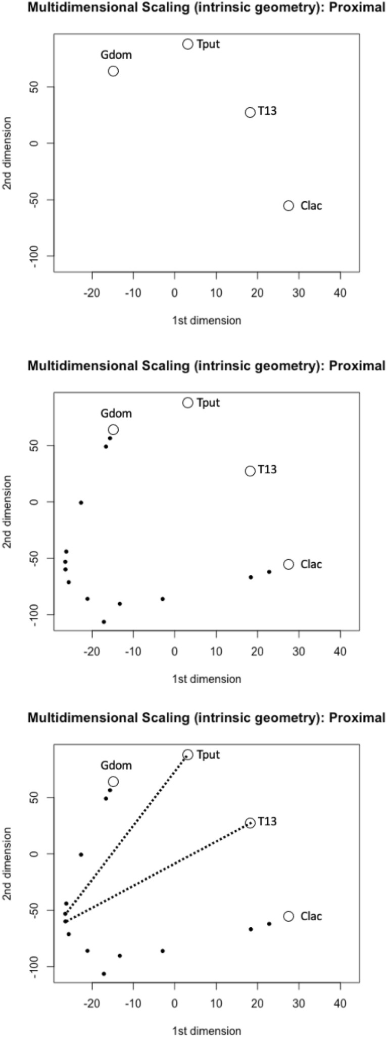 Figure 36