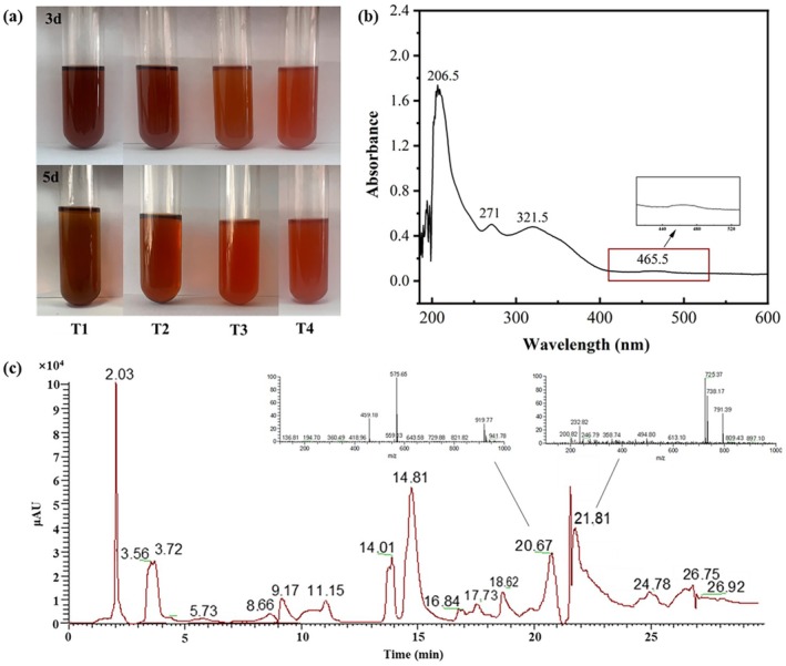 FIGURE 11