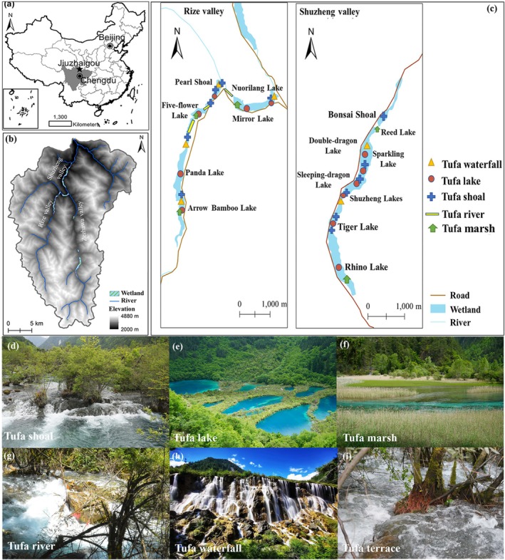 FIGURE 2