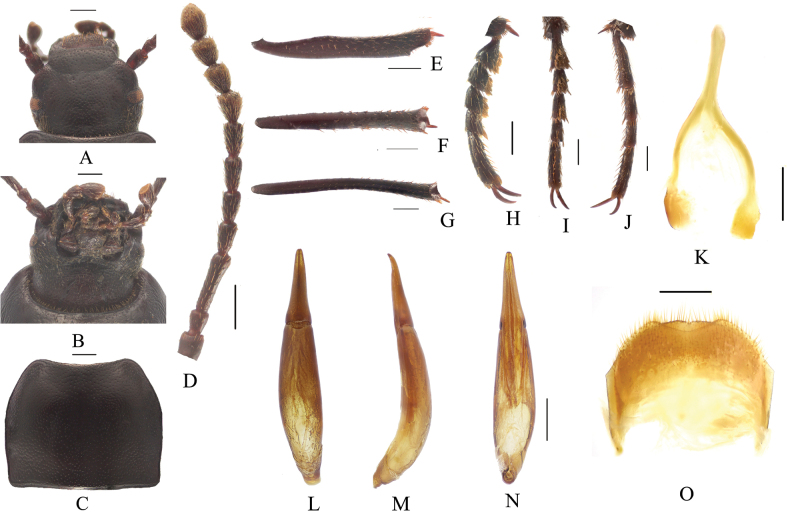 Figure 10