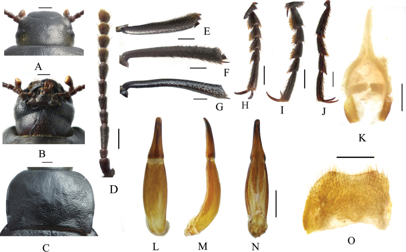 Figure 13