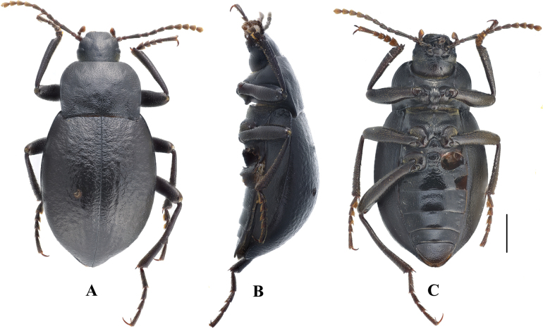Figure 14