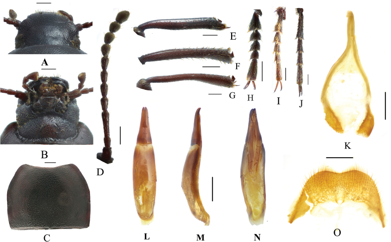 Figure 15