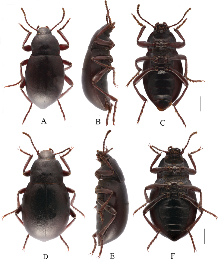 Figure 17