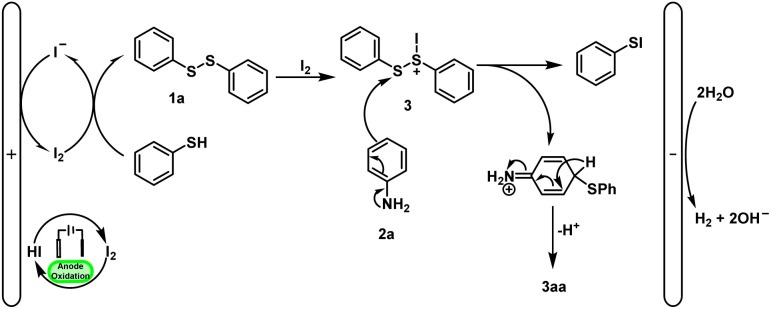 Scheme 6