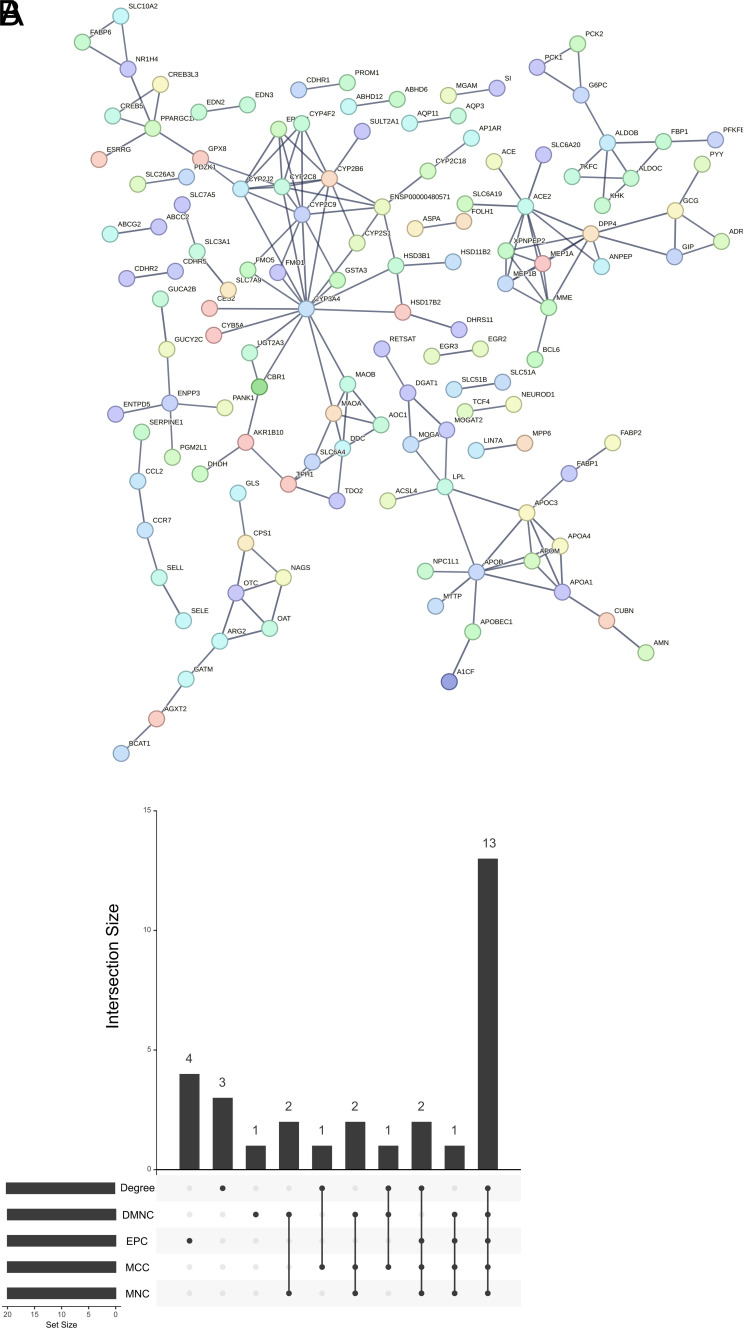 Figure 6