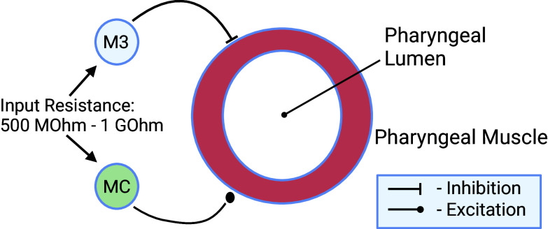 Fig. 2