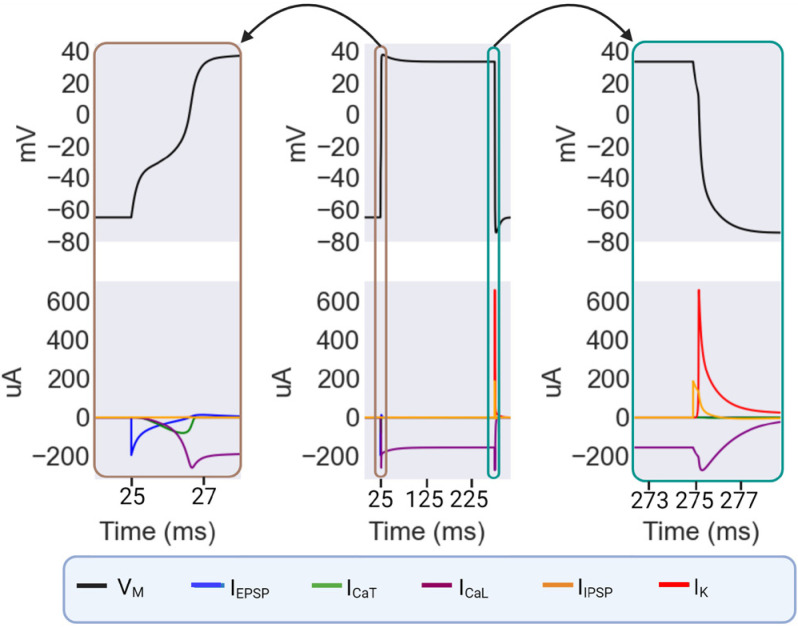 Fig. 3