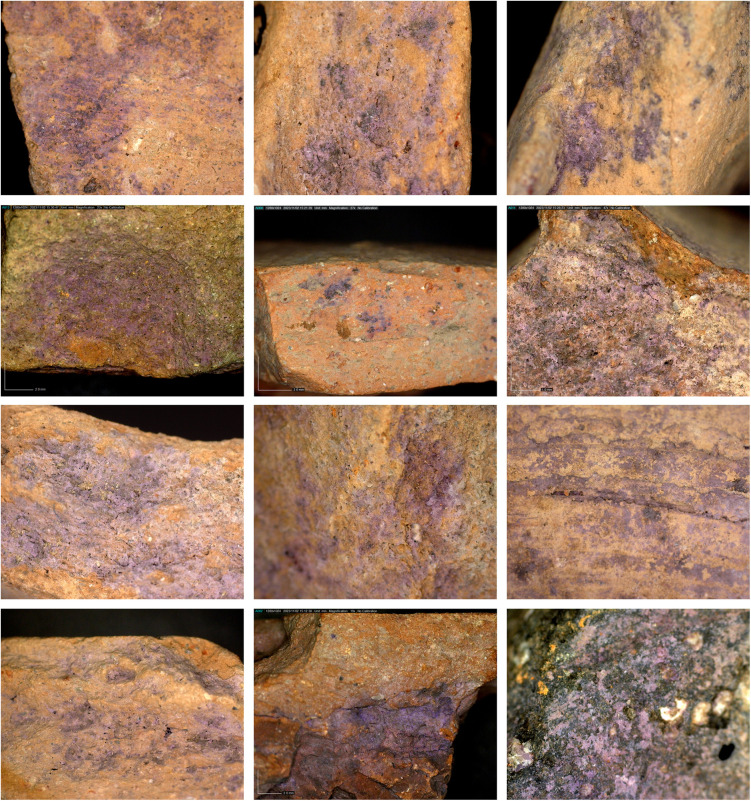 Fig 10