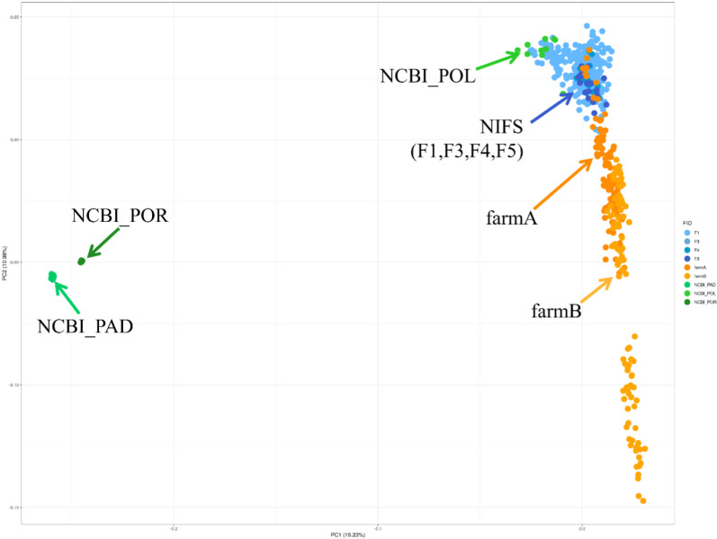 Fig 2