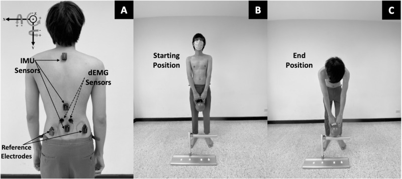 Fig 1
