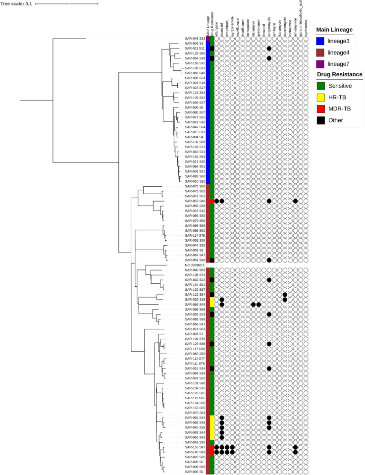Fig 3