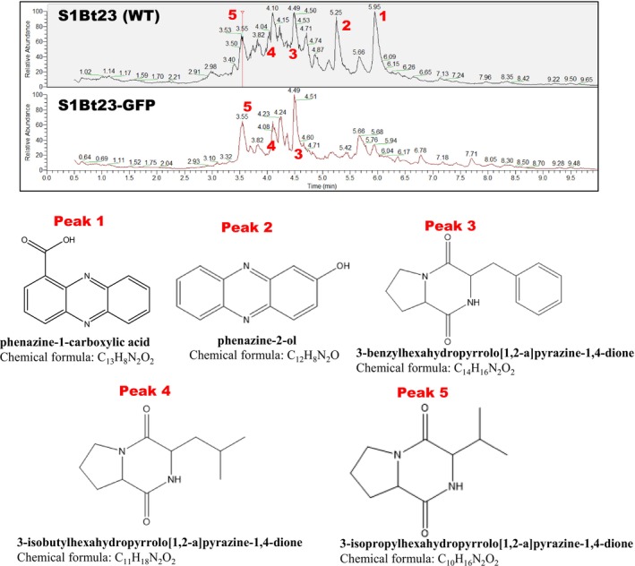 FIGURE 6