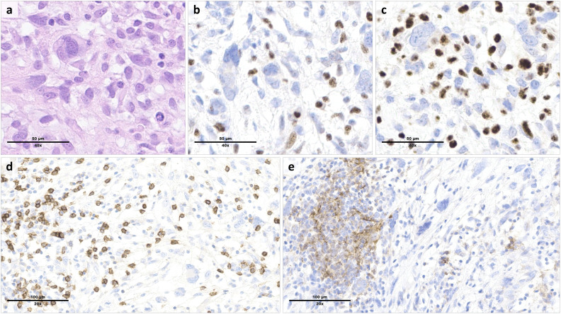 Figure 2