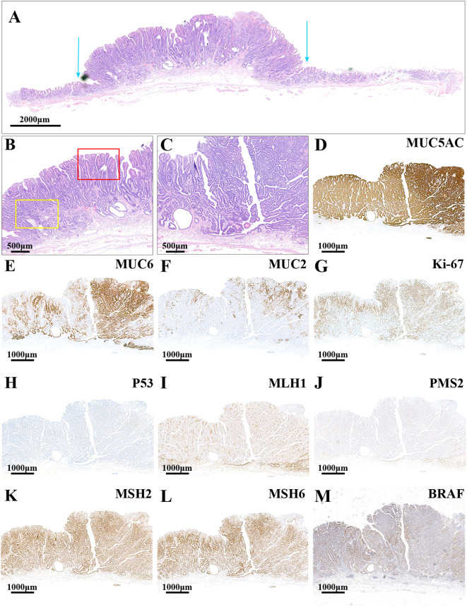 Figure 3