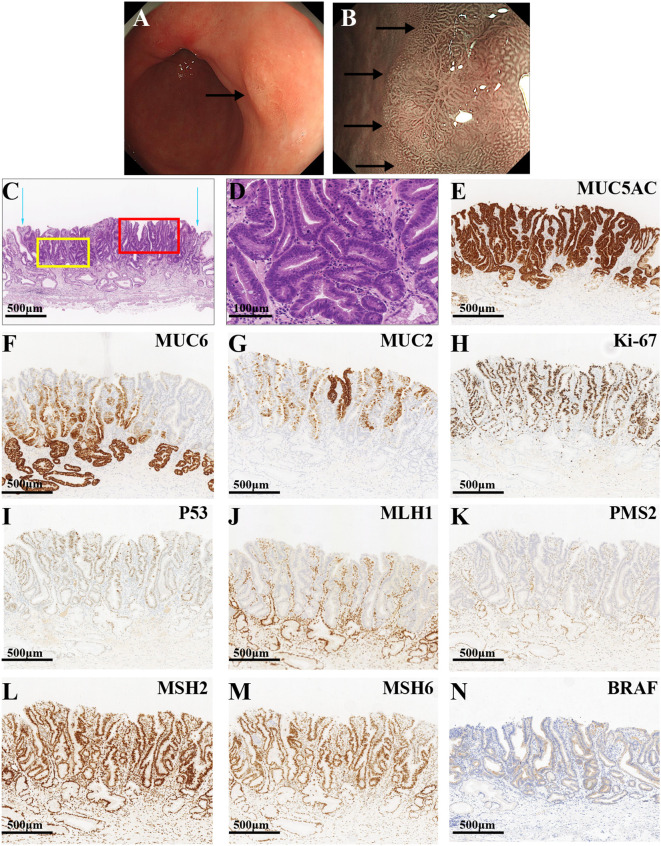 Figure 4