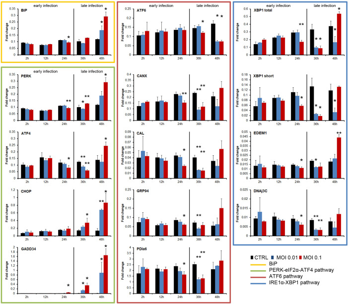 Figure 2