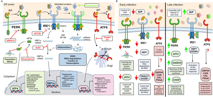 Figure 10