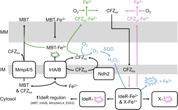 Figure 9