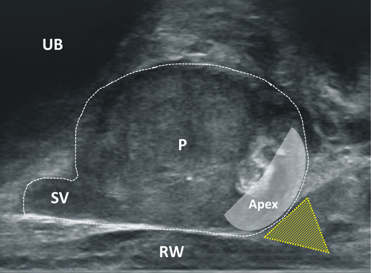 Figure 8