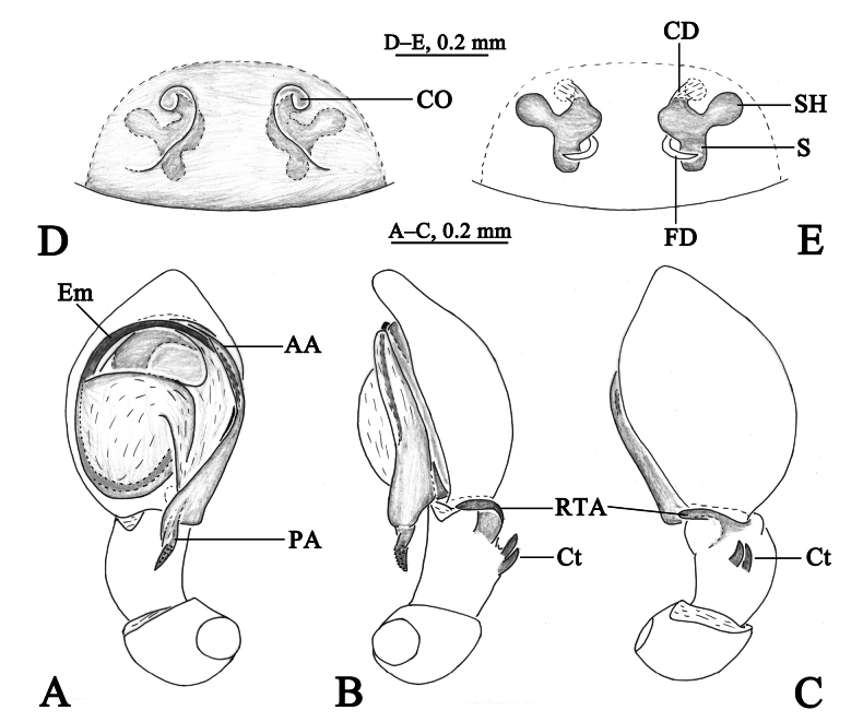 Figure 11
