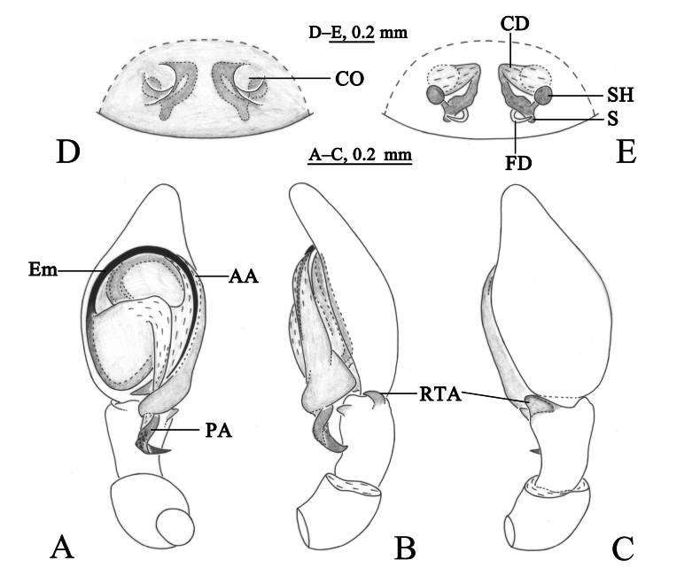 Figure 13