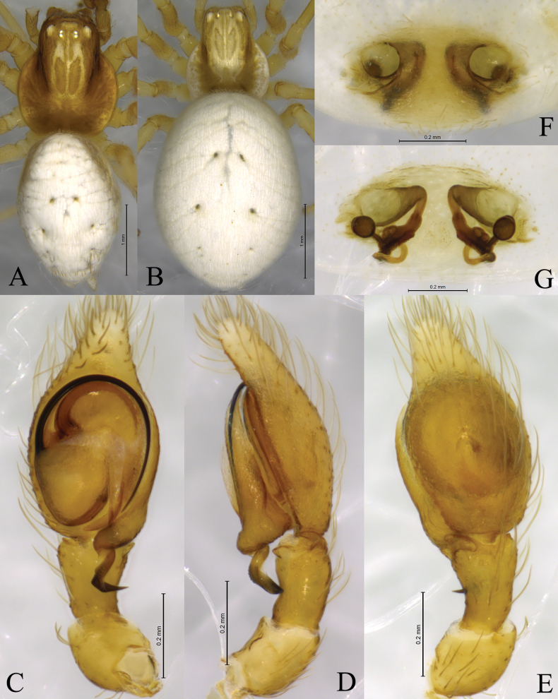 Figure 14