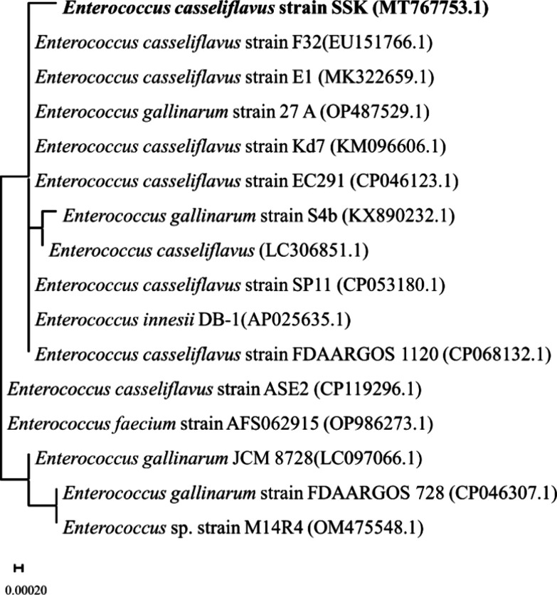 Figure 2